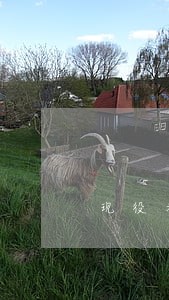现役考司法证 现役考司法证
