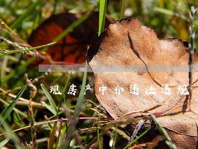 现房产中介违法违规 现房产中介违法违规