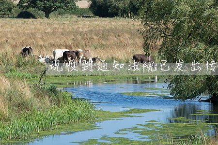 现收到通知法院已发出传单 现收到通知法院已发出传单