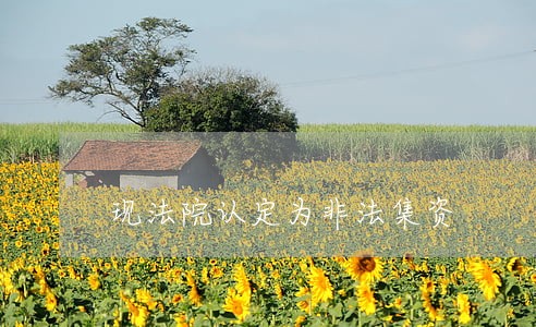 现法院认定为非法集资 现法院认定为非法集资