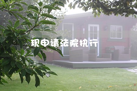 现申请法院执行 现申请法院执行