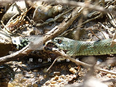 现行民法体系 现行民法体系