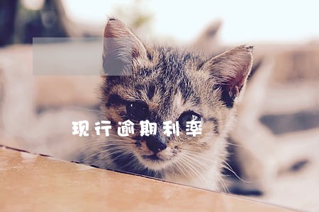 现行逾期利率 现行逾期利率