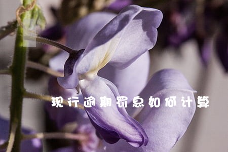 现行逾期罚息如何计算 现行逾期罚息如何计算