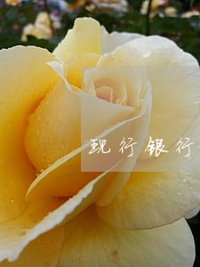 现行银行逾期贷款利息