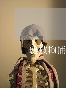现被拘捕将接受法律审判 现被拘捕将接受法律审判