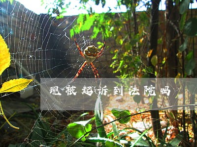 现被起诉到法院吗 现被起诉到法院吗