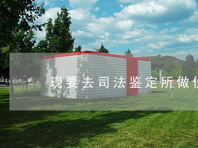 现要去司法鉴定所做伤残鉴定 现要去司法鉴定所做伤残鉴定