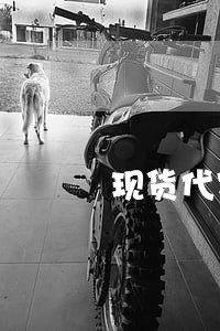 现货代客理财是否违法