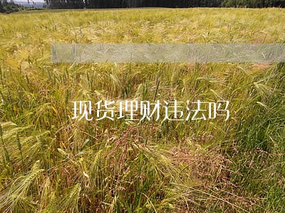 现货理财违法吗