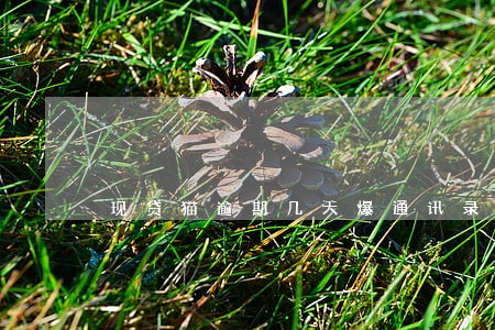 现贷猫逾期几天爆通讯录 现贷猫逾期几天爆通讯录