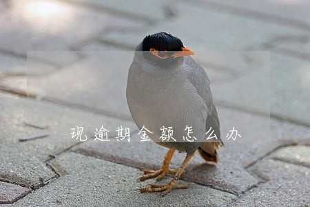 现逾期金额怎么办 现逾期金额怎么办