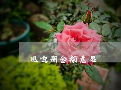 现逾期金额意思 现逾期金额意思