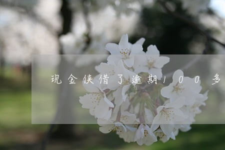 现金侠借了逾期100多天 现金侠借了逾期100多天
