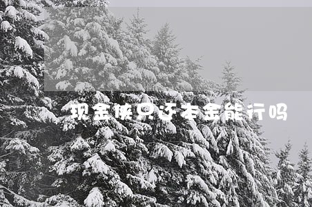 现金侠只还本金能行吗 现金侠只还本金能行吗