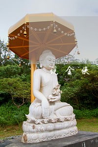 现金侠可以只还本金 现金侠可以只还本金