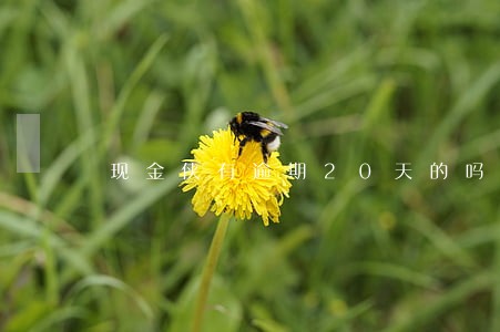 现金侠有逾期20天的吗 现金侠有逾期20天的吗