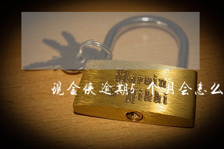 现金侠逾期5个月会怎么样 现金侠逾期5个月会怎么样