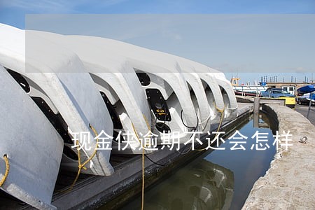 现金侠逾期不还会怎样 现金侠逾期不还会怎样