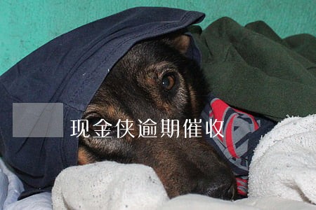 现金侠逾期催收 现金侠逾期催收
