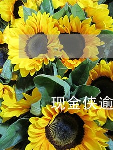 现金侠逾期多久会联系家人