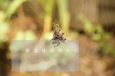 现金侠逾期短信 现金侠逾期短信
