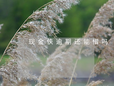 现金侠逾期还能借吗 现金侠逾期还能借吗
