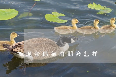 现金借条逾期会怎样 现金借条逾期会怎样