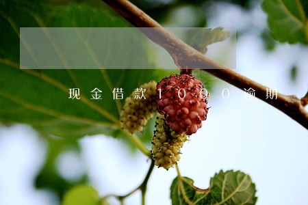 现金借款1000逾期 现金借款1000逾期