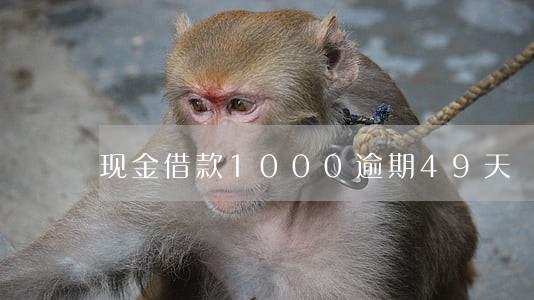 现金借款1000逾期49天 现金借款1000逾期49天