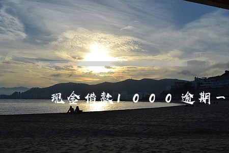 现金借款1000逾期一周 现金借款1000逾期一周