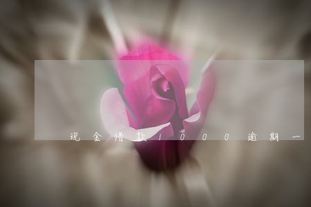 现金借款1000逾期一年 现金借款1000逾期一年