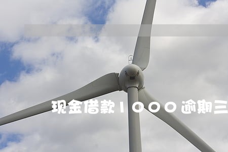 现金借款1000逾期三年 现金借款1000逾期三年