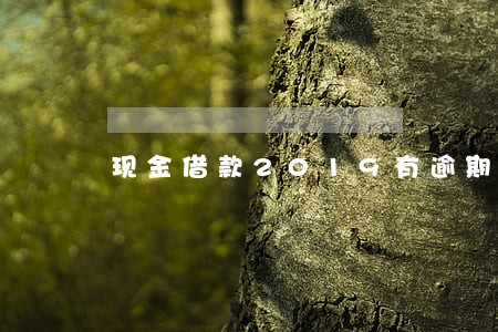 现金借款2019有逾期的吗