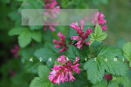 现金借款2080逾期3年