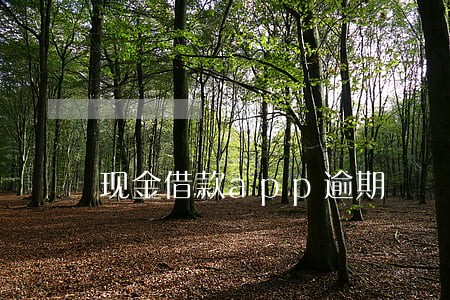 现金借款app逾期 现金借款app逾期