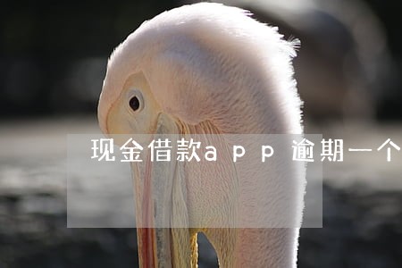 现金借款app逾期一个月了 现金借款app逾期一个月了