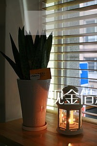 现金借款app逾期多久上征信 现金借款app逾期多久上征信