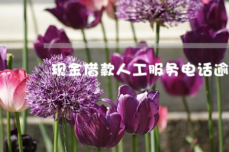 现金借款人工服务电话逾期