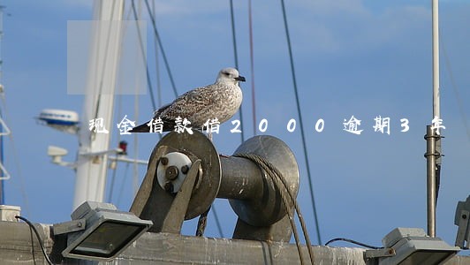 现金借款借2000逾期3年