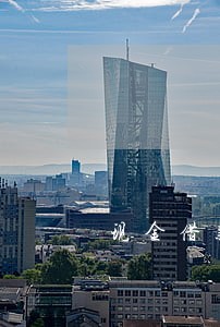 现金借款借五千逾期了 现金借款借五千逾期了