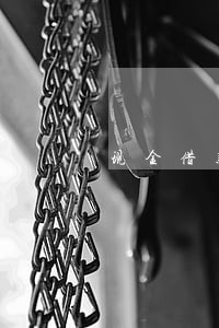 现金借款分期易逾期 现金借款分期易逾期