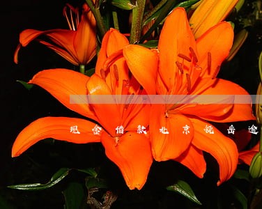 现金借款北京瓴岳逾期怎样还款 现金借款北京瓴岳逾期怎样还款