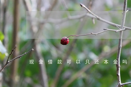 现金借款可以只还本金吗 现金借款可以只还本金吗