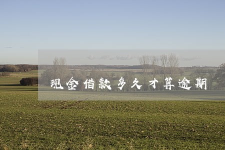 现金借款多久才算逾期 现金借款多久才算逾期