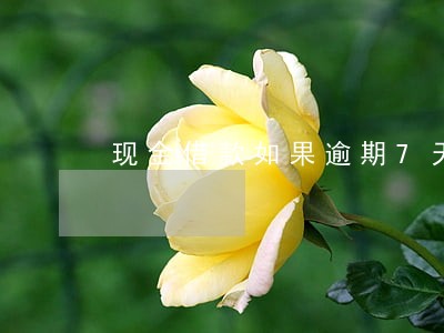现金借款如果逾期7天 现金借款如果逾期7天