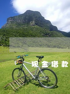 现金借款征信逾期能消除吗