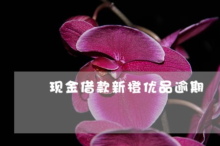 现金借款新橙优品逾期 现金借款新橙优品逾期