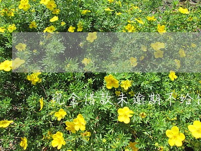 现金借款未逾期不给借 现金借款未逾期不给借