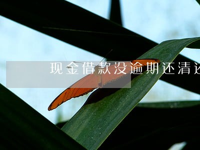 现金借款没逾期还清还能再借吗 现金借款没逾期还清还能再借吗